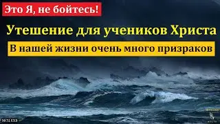 "Это Я, не бойтесь". В. Бублик. МСЦ ЕХБ