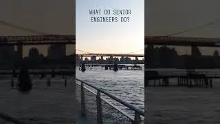 What do sr. engineers do? 
