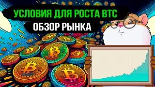 Bitcoin пойдет вверх, если сделает это. Обзор рынка