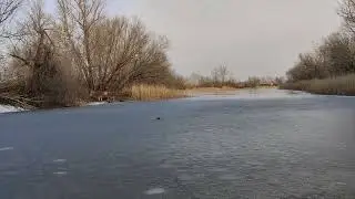 Тянет выпить алкоголь и покурить. Что делать? Часть 1.