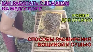 Улей ЛЕЖАК как ОТКАЧИВАТЬ МЁД НА ГЛАВНОМ МЕДОСБОРЕ МЕТОДИКА ПО РАСШИРЕНИЮ СУШЬЮ И ВОЩИНОЙ ✅☝️🐝