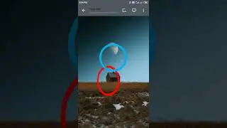 New preloader animation Design using HTML Javascript and CSS