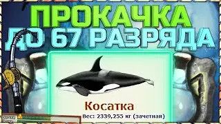 РР3 ПРОКАЧКА ОПЫТА НОВИЧКАМ ОТ 49 ДО 67 РАЗРЯДА