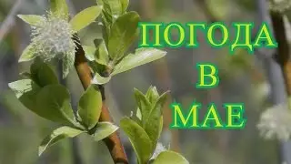 Погода в мае 2016 Екатеринбург