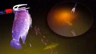 Fish Gigging and Frog Snatching in 