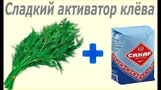 Ловля карася на укроп. Активатор клёва на карася.
