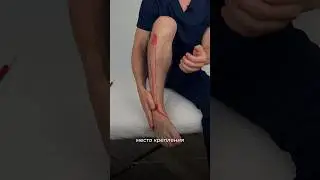 Как самостоятельно размять мышцы голени
