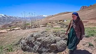 Living in the Mountains: Daily Life in Afghan Nomadic Villages