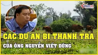 Các dự án của ông Nguyễn Viết Dũng bị thanh tra | Vietnamnet