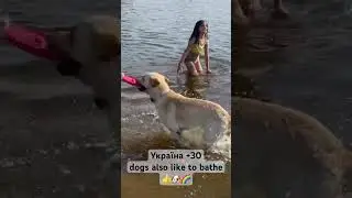Україна +30, dogs also like to bathe