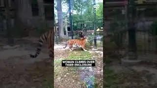 She was nearly bitten by the tiger