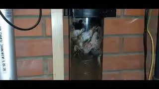 Работа скиммера AquaForte Sieve