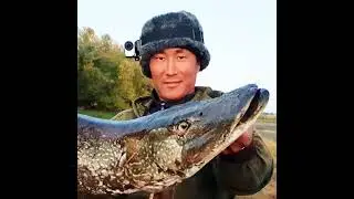 Клёвая рыбалка / Hot fishing в прямом эфире!
