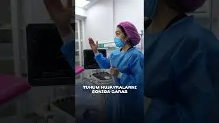 Tuhum hujayrani qanday olishadi? (OPU muolajasi)