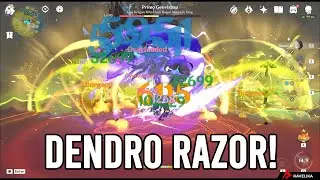 Dendro Razor is stronger than Cyno? | Genshin Impact