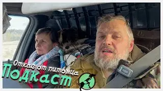 Почему люди отказываются от питомцев? Самые необычные истории из жизни от Хвастатого Счастья