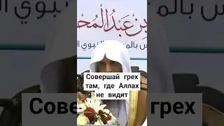 Что будет, если совершить грех там, где Аллах не видит