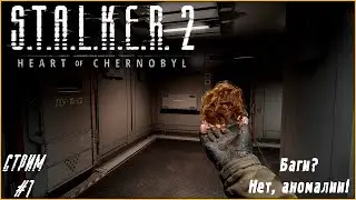 Багов нет! Только аномалии! | S.T.A.L.K.E.R. 2 #1  