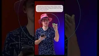 Заяц волк 😉 