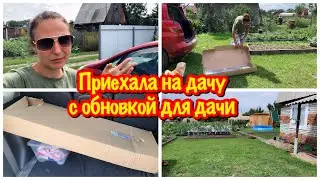 КУПИЛА ОБНОВКУ ДЛЯ НАШЕЙ ДАЧИ/ПОЛЕЗНАЯ ШТУКА НА ДАЧЕ/СУМАШЕДШИЙ ДЕНЬ/Я ОПЯТЬ БЕЗ ОТДЫХА