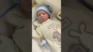 #reborn