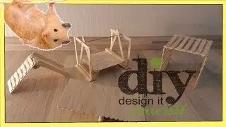 Playground for a hamster. A swing for a hamster. Slide for a hamster. Climbing frame for hamsters