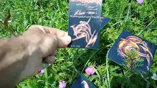 Zaba цветы из Димерджи