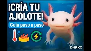 🔬 CRIANDO AJOLOTES 🐸 Te explico paso a paso como tener tus AXOLOTES 💧
