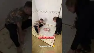 Мгновенно успокоить малыша 👌