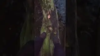 Şelaleden düşen fotoğrafçı 😂