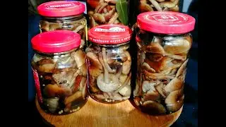 Маринованные ОПЯТА на зиму/ Простой рецепт маринованных ОПЯТ в банках/ Как мариновать опята