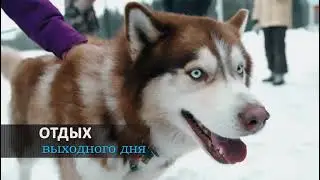 зимний отдых в Villa Järvi (135км Новоприозерского ш., Ленинградская область) https://villajarvi.ru