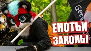 Енотьи ЗАКОНЫ ✅ ФУРРИ Прогулка в МОСКВЕ