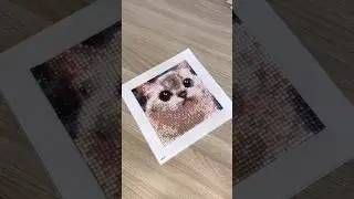 Очередная распаковка 🥰 Артикул в ТГК, ссылка в шапке профиля. Не забудь подписаться 💛 #рек #коты