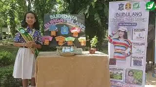 BUDIDAYA TANAMAN BUNGA TELANG - VANIA SDN KETABANG I