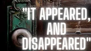 🐇🕳️ {9 min} 4 True Stories That Will Have You Scratching Your head...Ep 69
