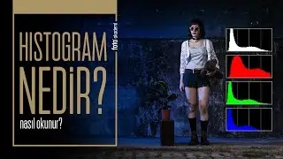 Photoshop Histogram Nedir? Histogram Nasıl Okunur?