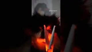 Mocha’s revenge 😏 