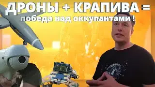 ДРОНЫ + КРАПИВА = Победа над оккупантами ! И при чём тут Илон Маск? 
