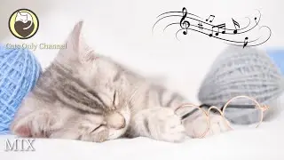 Music to Relax Cats - 10 Hours of Peaceful Harp Music for Cats with Anxiety