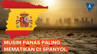 Musim Panas Mematikan dalam 20 Tahun Terakhir di Spanyol