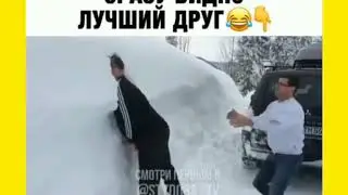 приколы 2020 лучшие до слез // Black Cat