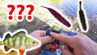 Микроджиг в мутной воде / Выбор цвета приманки для окуня