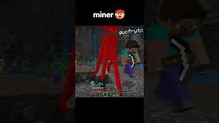 Pov, Tipe-Tipe Player Di Server Minecraft