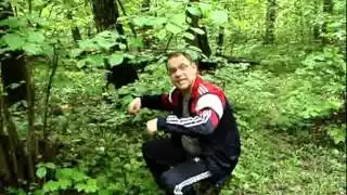 Дедушка Саша.avi