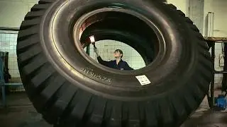 Наука 2.0 о Белшине