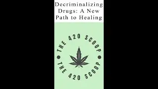 Decriminalizing Drugs: A New Path to Healing