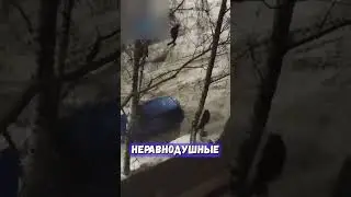 Теперь он точно будет читать объявления 🤣 | Итак, новости!
