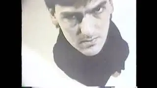 Robyn Hitchcock & The Egyptians - The Man With The Lightbulb Head