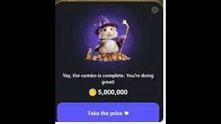 hamster kombat daily combo 19 august